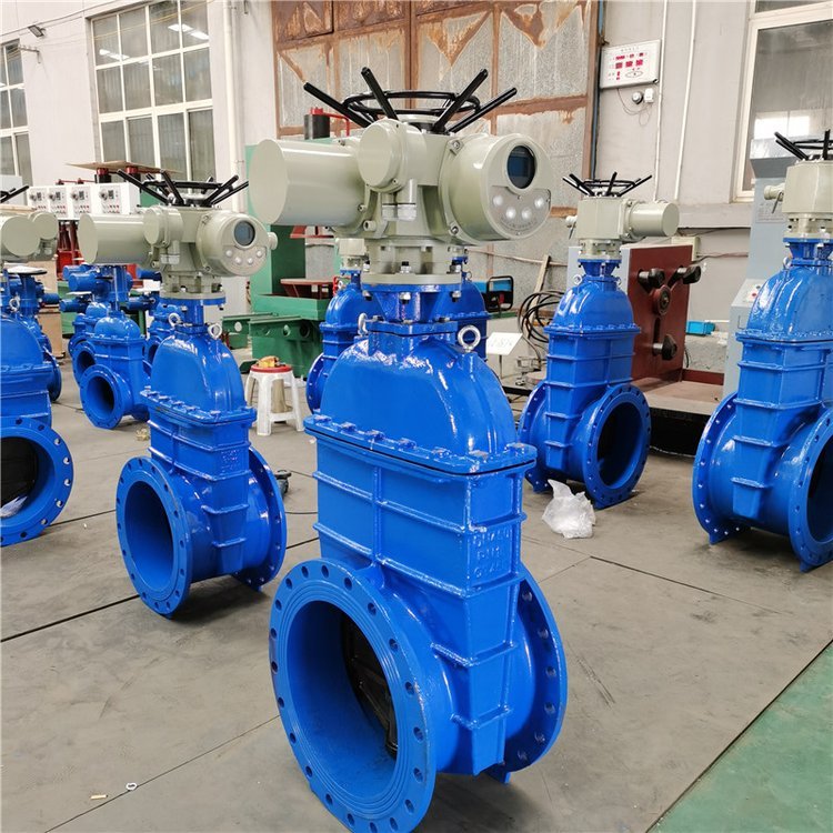 電動(dòng)閘閥Z941h -64 DN500（石化行業(yè)、煉油廠(chǎng)、化工廠(chǎng)）